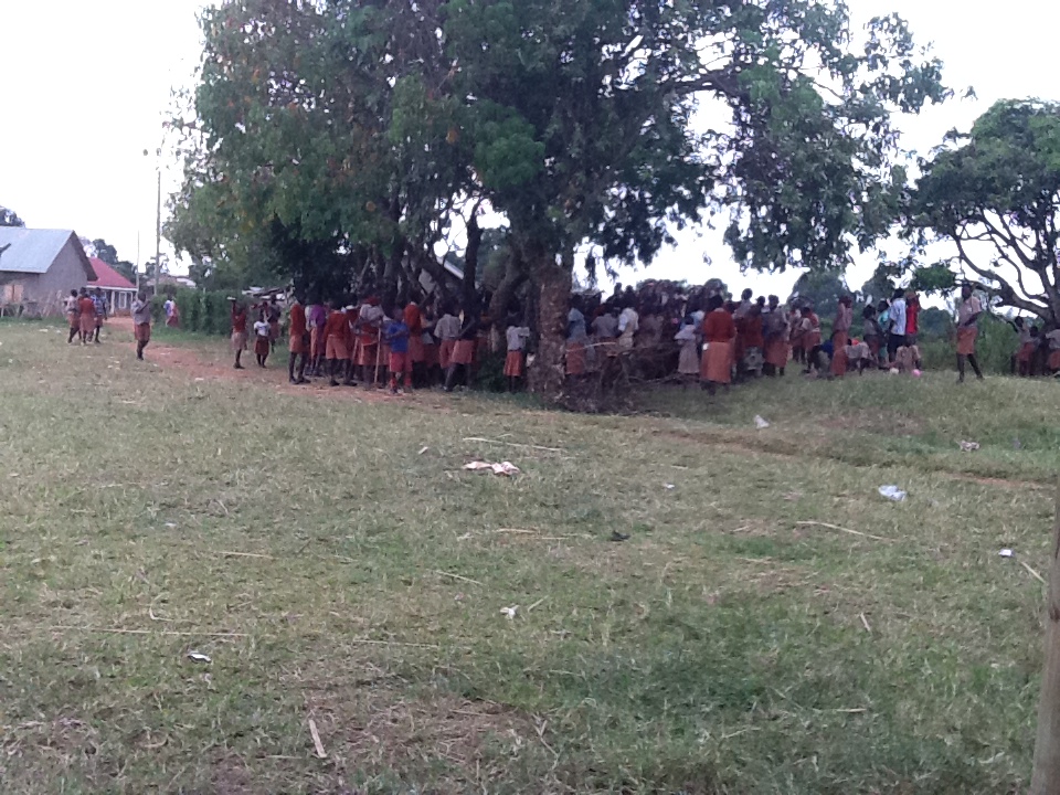 Lunch Time Under tree