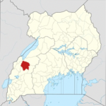 Picture5