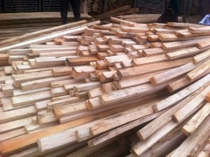 1000 Timbers Purchased!